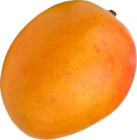 mango-1